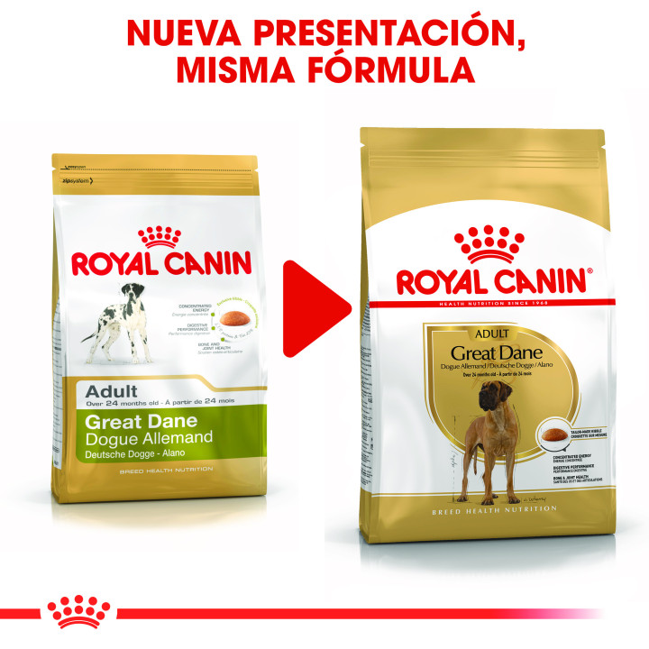 Royal Canin Great Dane pienso para gran danés adulto  - Kompymascotas