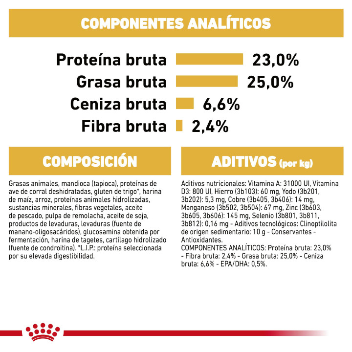 Royal Canin Great Dane pienso para gran danés adulto  - Kompymascotas