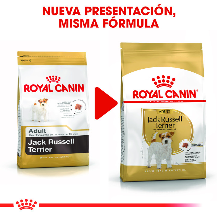 Royal Canin Jack Russel pienso para perro adulto  - Kompymascotas
