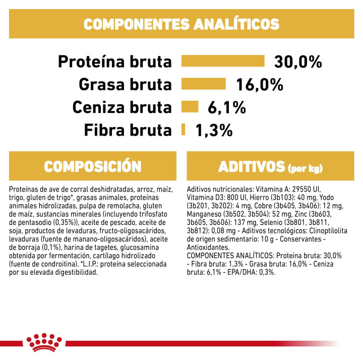 Royal Canin Jack Russel pienso para perro adulto  - Kompymascotas