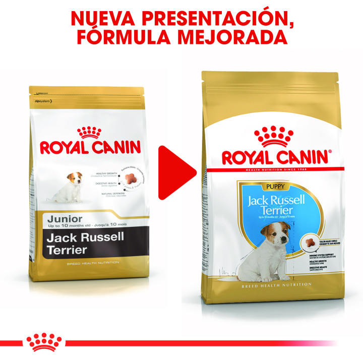 Royal Canin Jack Russel Puppy pienso para cachorros  - Kompymascotas