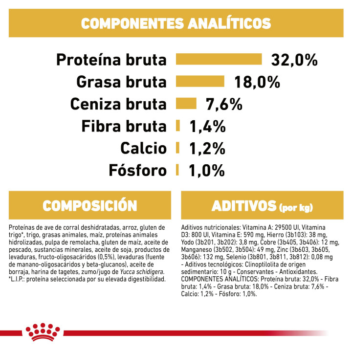 Royal Canin Jack Russel Puppy pienso para cachorros  - Kompymascotas
