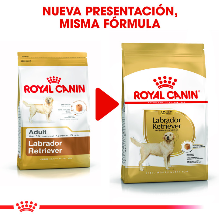 Royal Canin Labrador pienso para perro adulto  - Kompymascotas