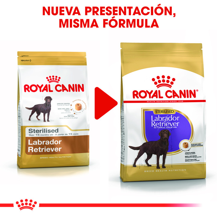 Royal Canin Labrador Sterilised pienso para labrador esterilizado adulto  - Kompymascotas