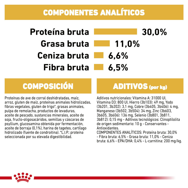 Royal Canin Labrador Sterilised pienso para labrador esterilizado adulto  - Kompymascotas