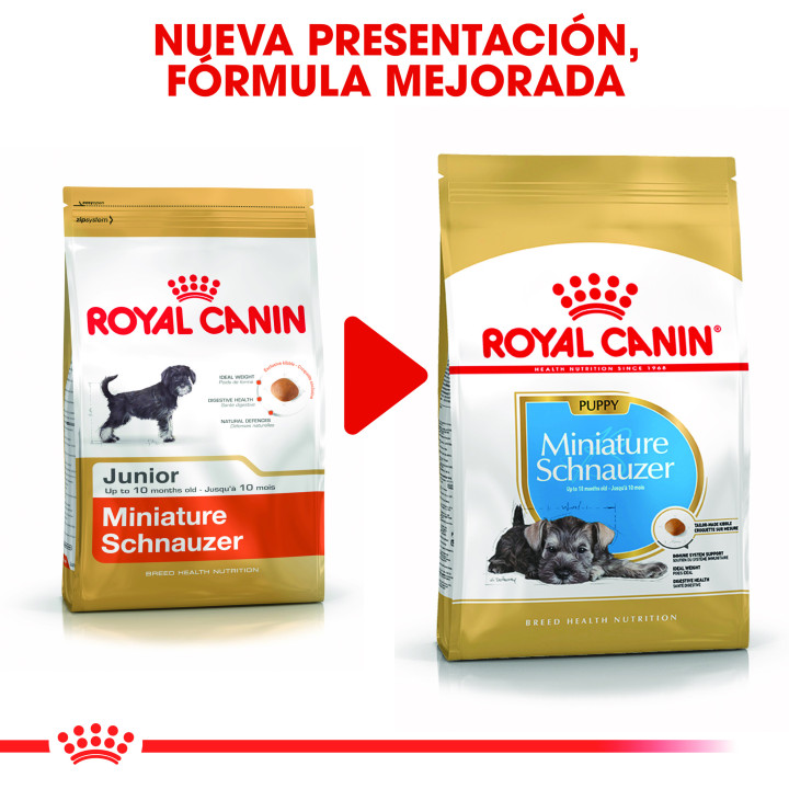 Royal Canin Schnauzer Puppy pienso para cachorros  - Kompymascotas