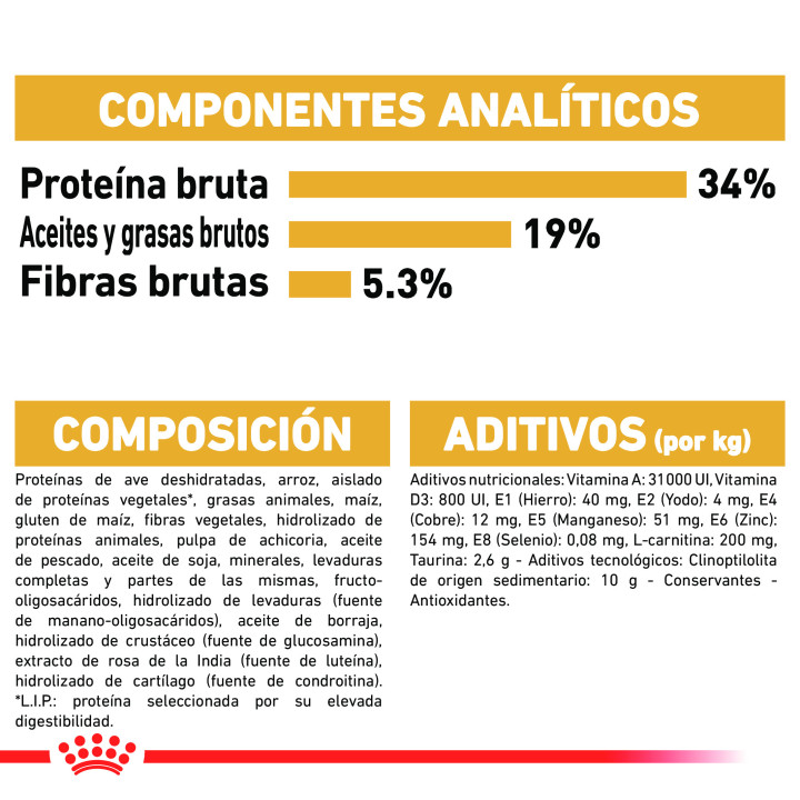 Royal Canin British Shorthair pienso para gato adulto  - Kompymascotas