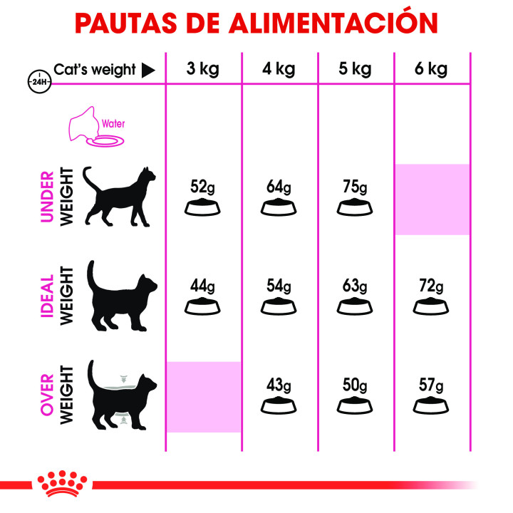 Royal Canin Feline Nutrition Fit 32, Pienso para gatos - Kompymascotas