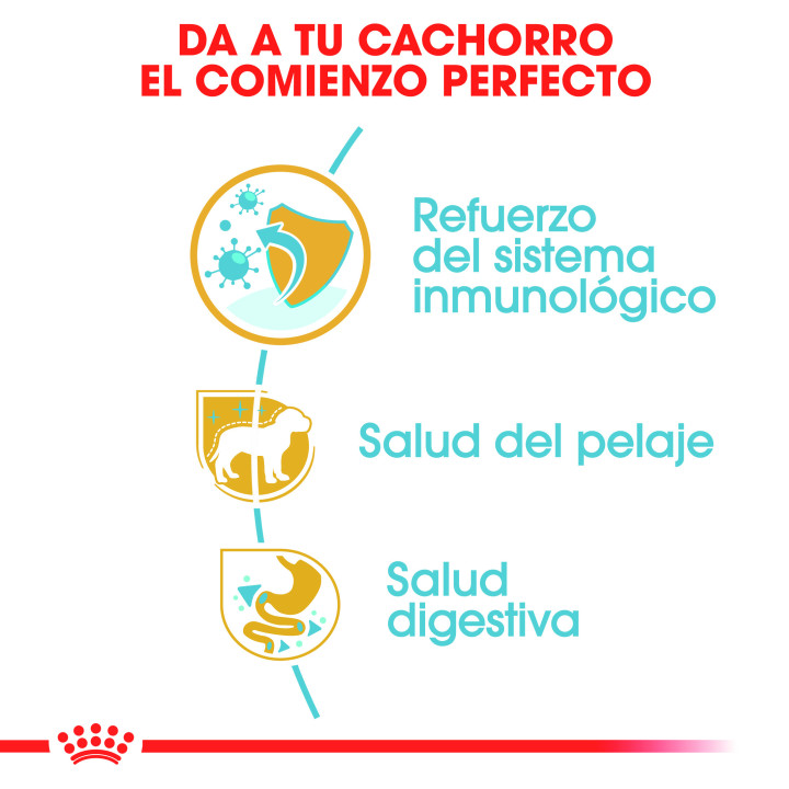 Royal Canin Poodle Puppy - Piensoymacotas