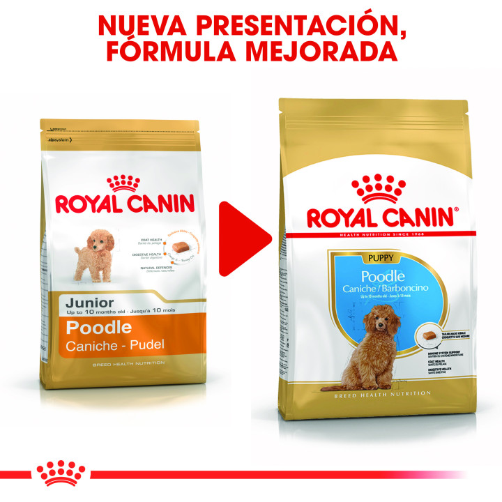 Royal Canin Poodle Puppy - Piensoymacotas
