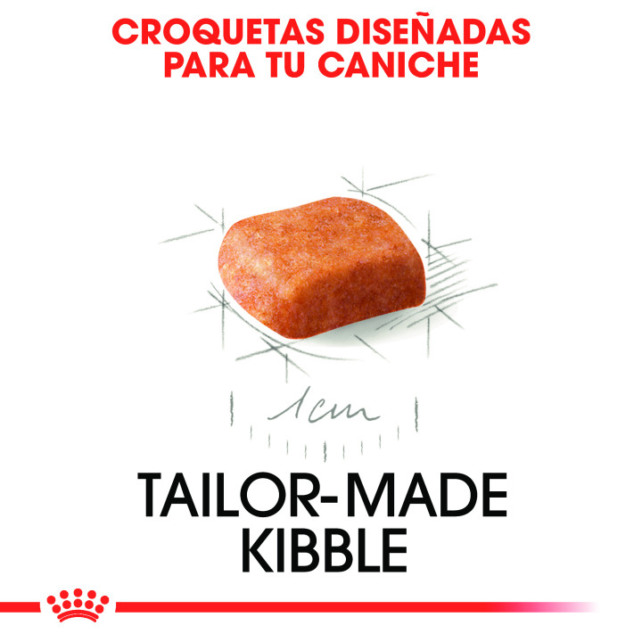 Royal Canin Poodle Puppy - Piensoymacotas