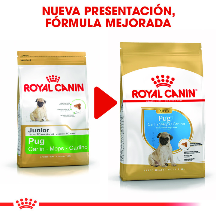 Royal Canin Pug Puppy pienso para carlino cachorro  - Kompymascotas