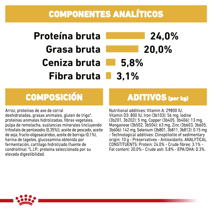 Royal Canin Shih Tzu pienso para perro adulto  - Kompymascotas