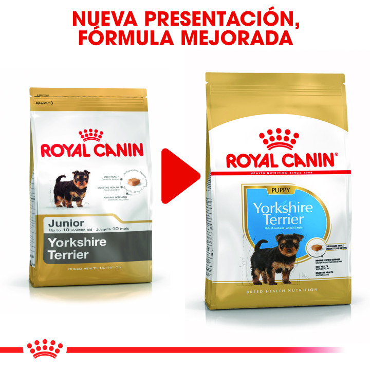 Royal Canin Yorkshire Puppy pienso para cachorros  - Kompymascotas