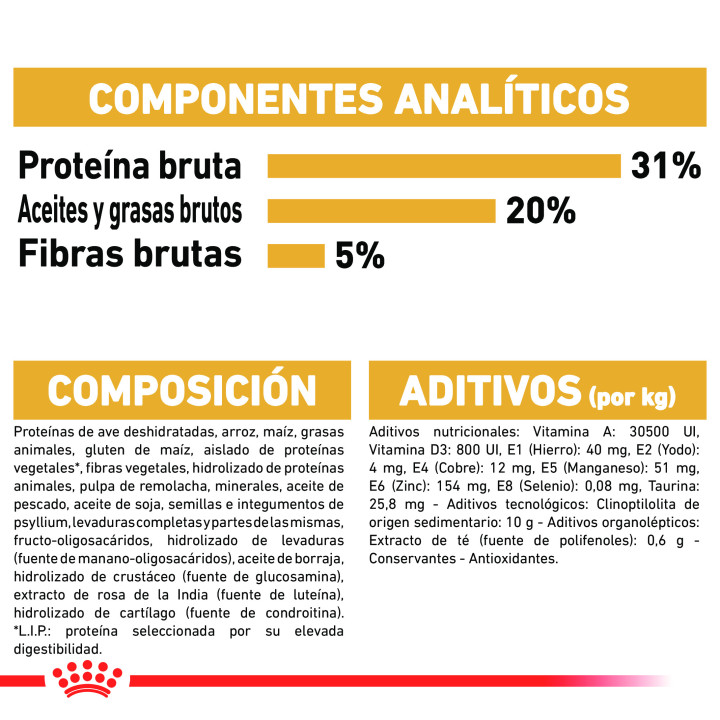 Royal Canin Norwegian Forest Cat pienso para gato adulto  - Kompymascotas