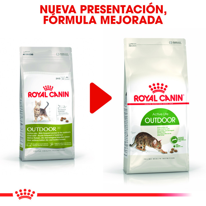 Royal Canin Feline Outdoor 30, Pienso para gatos - Kompymascotas