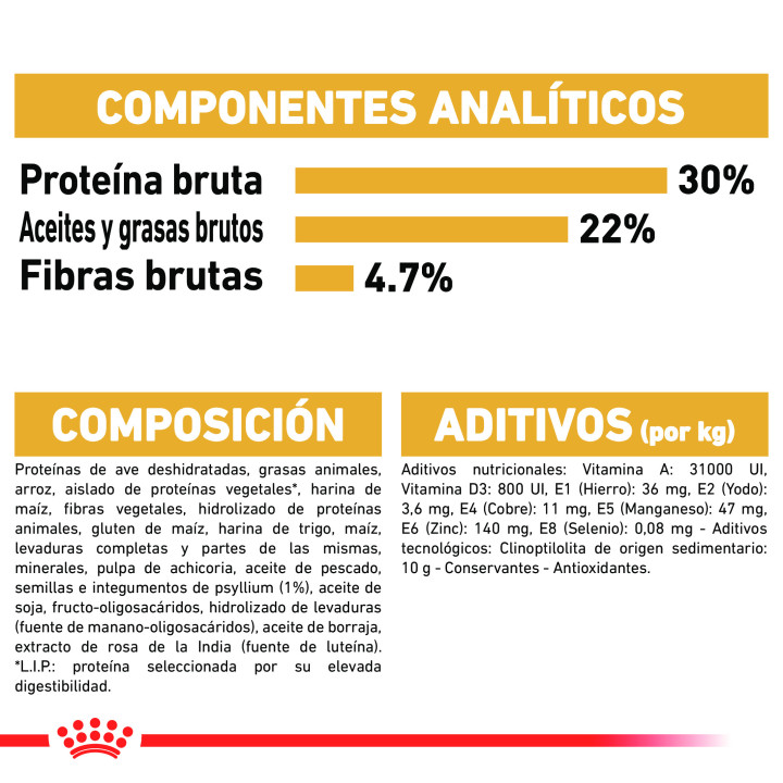 Royal Canin Persian pienso para gato persa adulto  - Kompymascotas