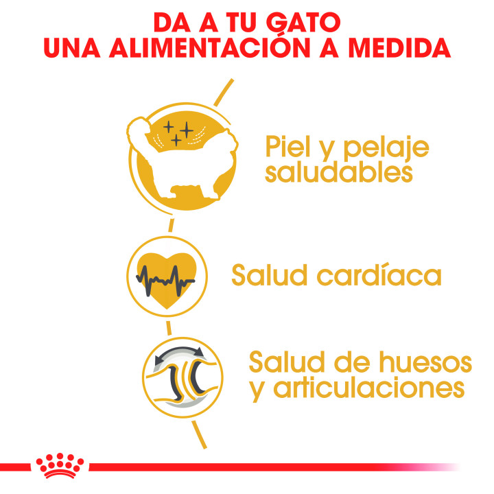 Royal Canin Ragdoll Pienso para Gato - Kompymascotas