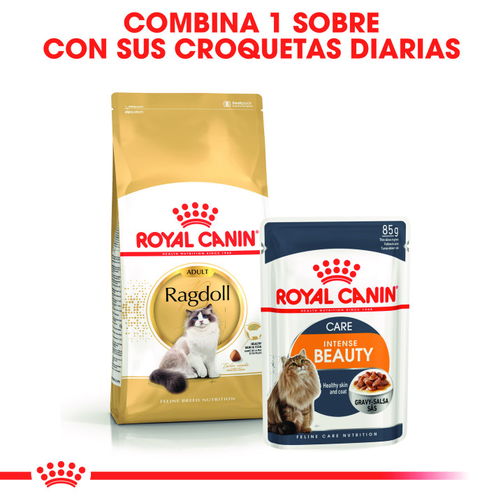 Royal Canin Ragdoll Pienso para Gato - Kompymascotas