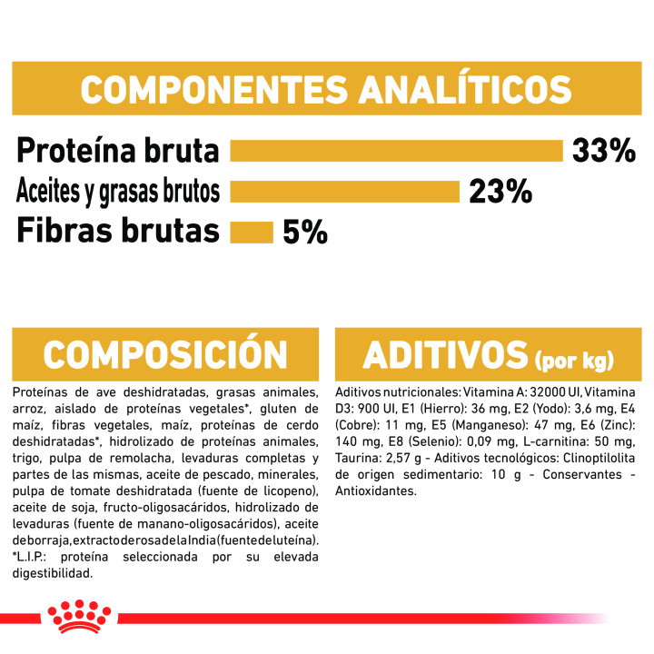 Royal Canin Sphynx pienso para gato adulto  - Kompymascotas