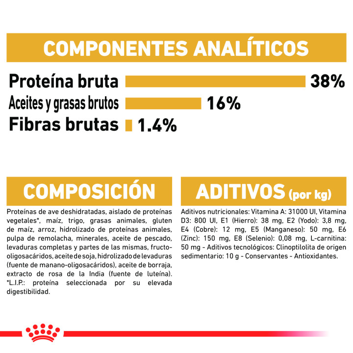Royal Canin Siamese pienso para gato siamés adulto  - Kompymascotas