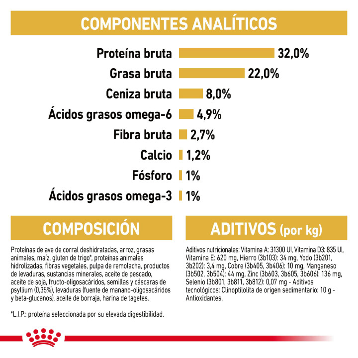 Royal Canin Kitten Persian pienso para gatito - Kompymascotas