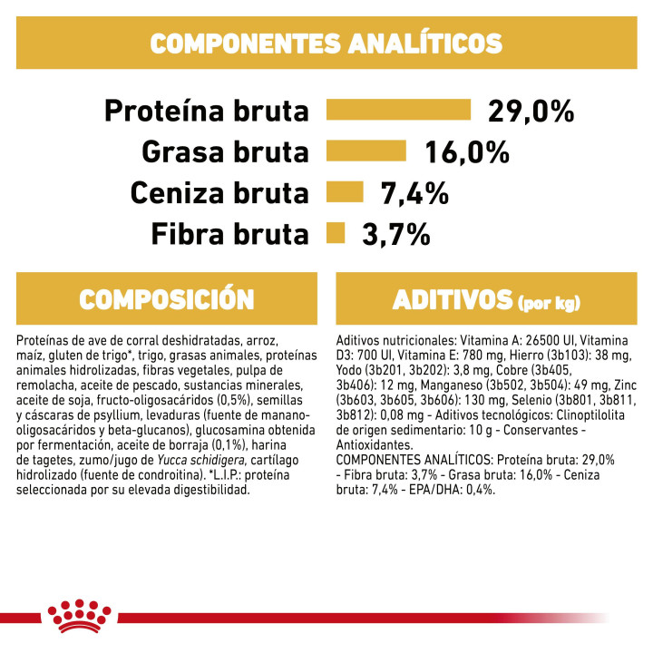 Royal Canin Golden Retriever Junior Pienso para perros - Kompymascotas