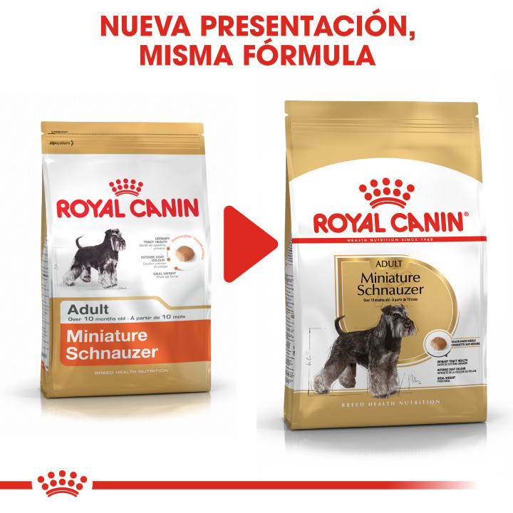Royal Canin Schnauzer pienso para perro adulto  - Kompymascotas