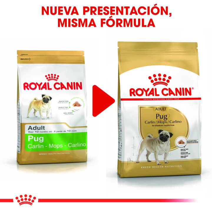 Royal Canin Pug pienso para carlino adulto  - Kompymascotas