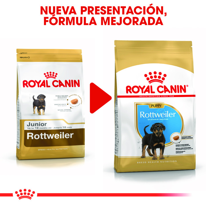 Royal Canin Rottweiler Puppy pienso para cachorros  - Kompymascotas