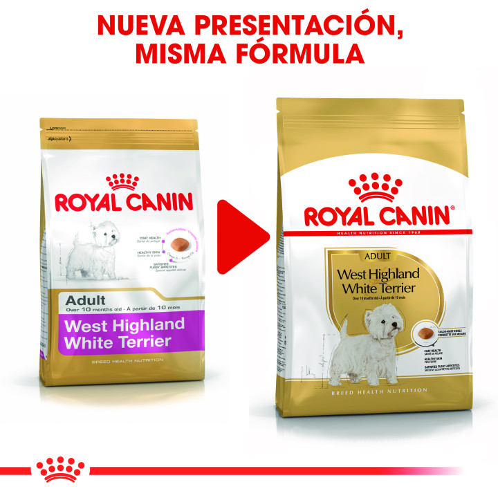 Royal Canin West Hihgland Terrier pienso para perro adulto  - Kompymascotas