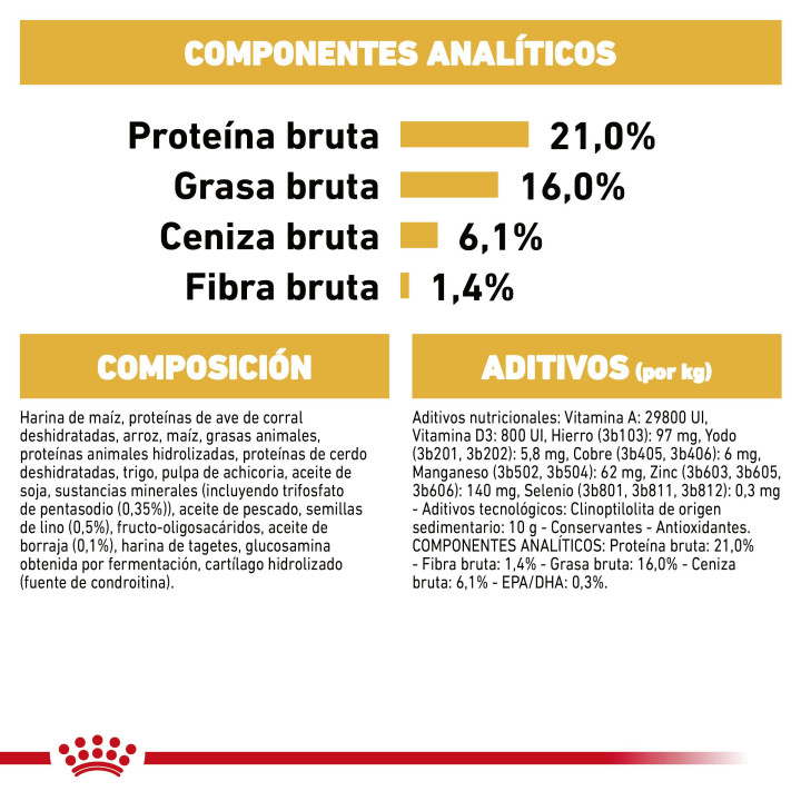 Royal Canin West Hihgland Terrier pienso para perro adulto  - Kompymascotas