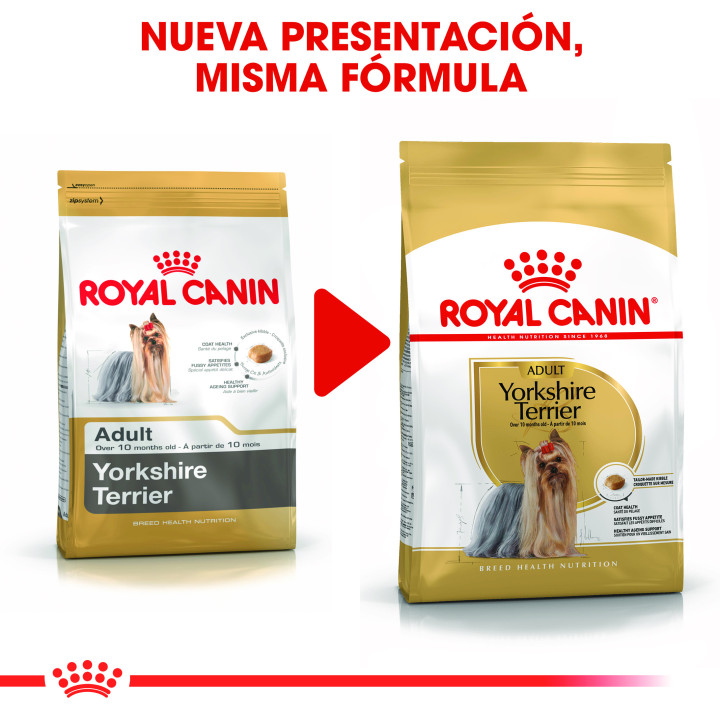Royal Canin Yorkshire pienso para perro adulto  - Kompymascotas