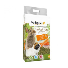 Royal Canin Anallergenic Pienso para perros - Kompymascotas