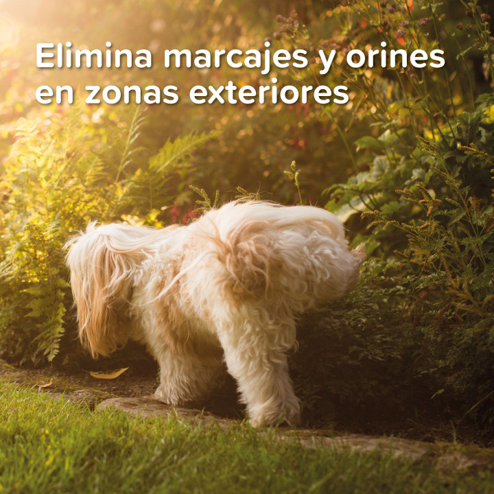 Gel Educador Exterior - PiensoyMascotas