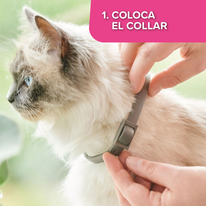 CatComfort collar 35cm-PiensoyMascotas