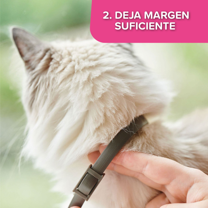 CatComfort collar 35cm-PiensoyMascotas