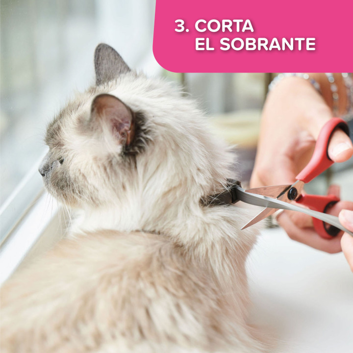 CatComfort collar 35cm-PiensoyMascotas