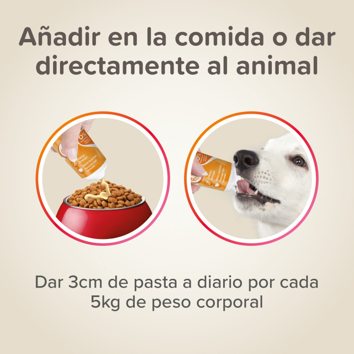 Pasta Multi-Vitaminas para perros-PiensoyMascotas