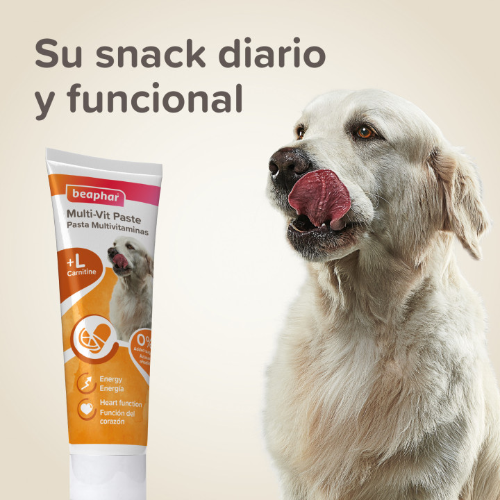 Pasta Multi-Vitaminas para perros-PiensoyMascotas
