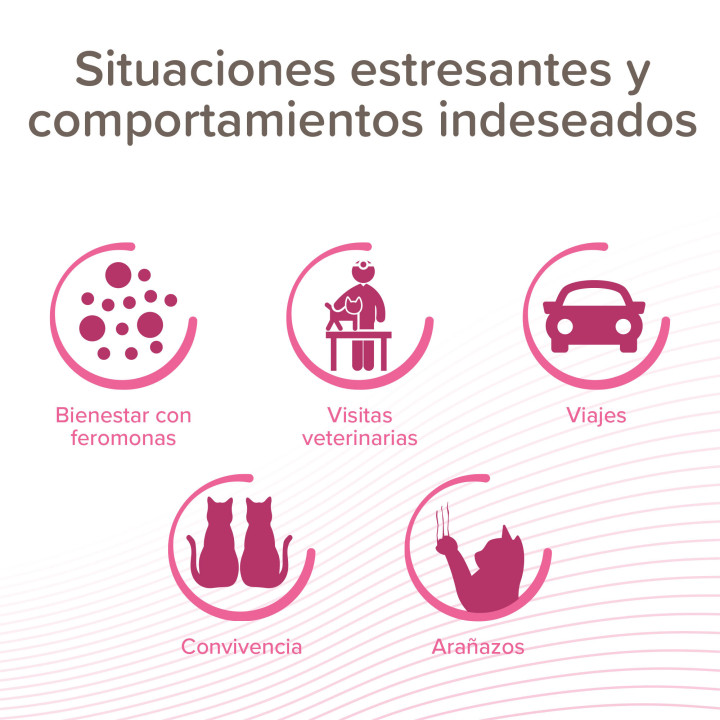 CatComfort Spray para viajes 30 ml - PiensoyMascotas