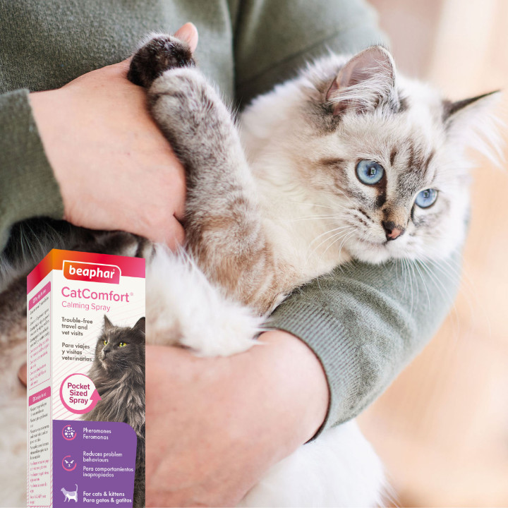 CatComfort Spray para viajes 30 ml - PiensoyMascotas