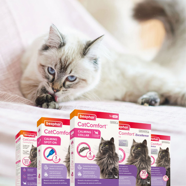 CatComfort Spray para viajes 30 ml - PiensoyMascotas