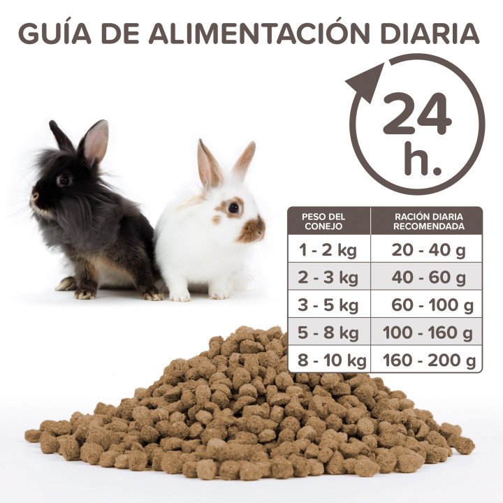 Care + pienso para conejos - PiensoyMascotas