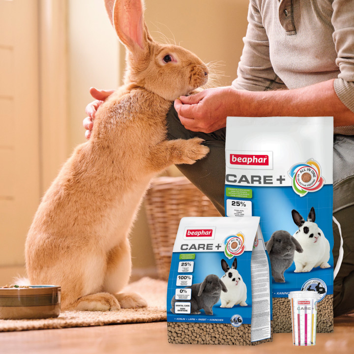 Care + pienso para conejos - PiensoyMascotas