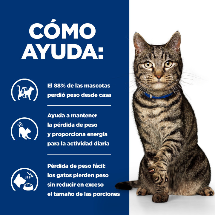 Hill's Prescription Diet Metabolic alimento húmedo Estofado para Gatos con Pollo y Verduras Añadidas - lata
