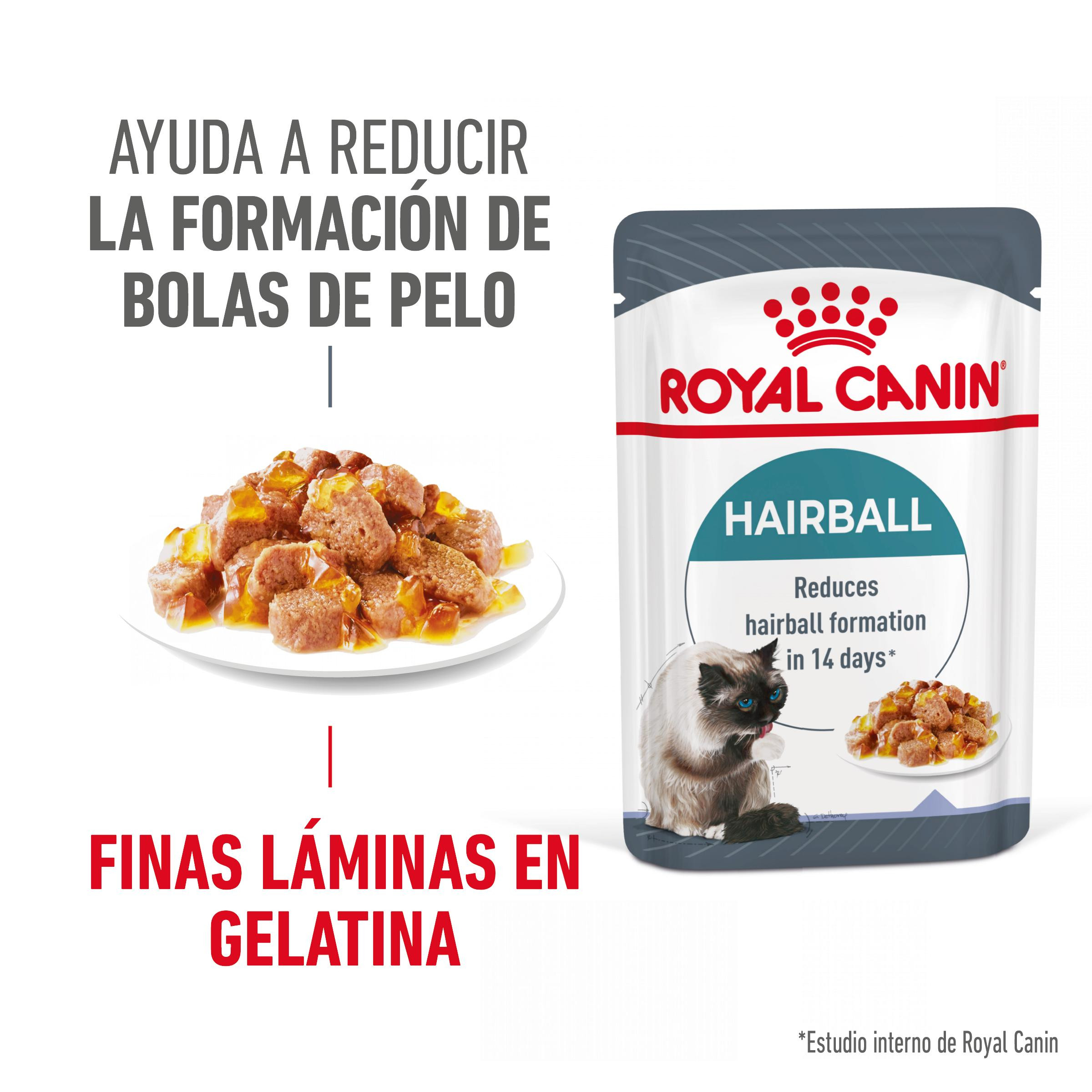 Comida húmeda caída de pelo gatos