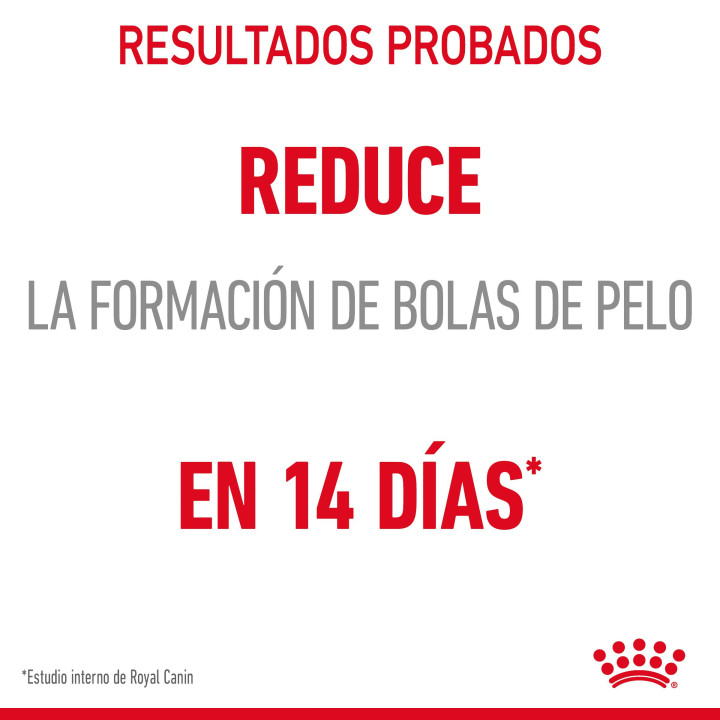 Royal Canin Hairball Care comida húmeda en gelatina para el cuidado de las bolas de pelo en gato adulto 