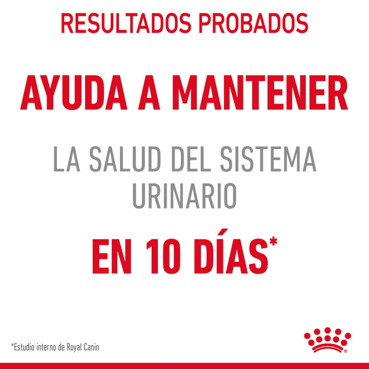  Royal Canin Urinary Care comida húmeda en gelatina para el cuidado urinario en gato adulto 