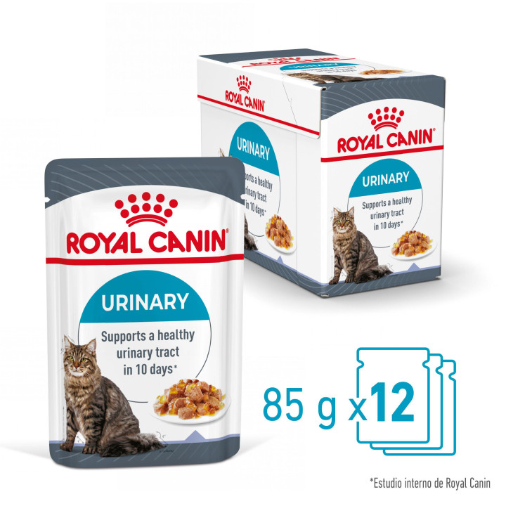  Royal Canin Urinary Care comida húmeda en gelatina para el cuidado urinario en gato adulto 